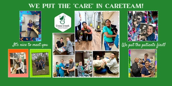 We put the 'Care' in Careteam