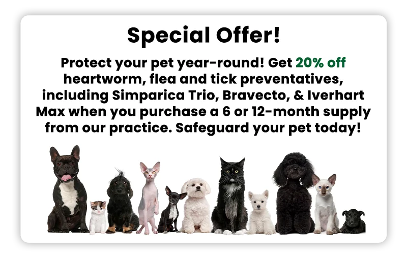 Protect your pet year-round! Get 20% off heartworm, flea and tick preventatives, including Simparica Trio, Bravecto, & Iverhart Max when you purchase a 6 or 12-month supply from our practice. Safeguard your pet today!