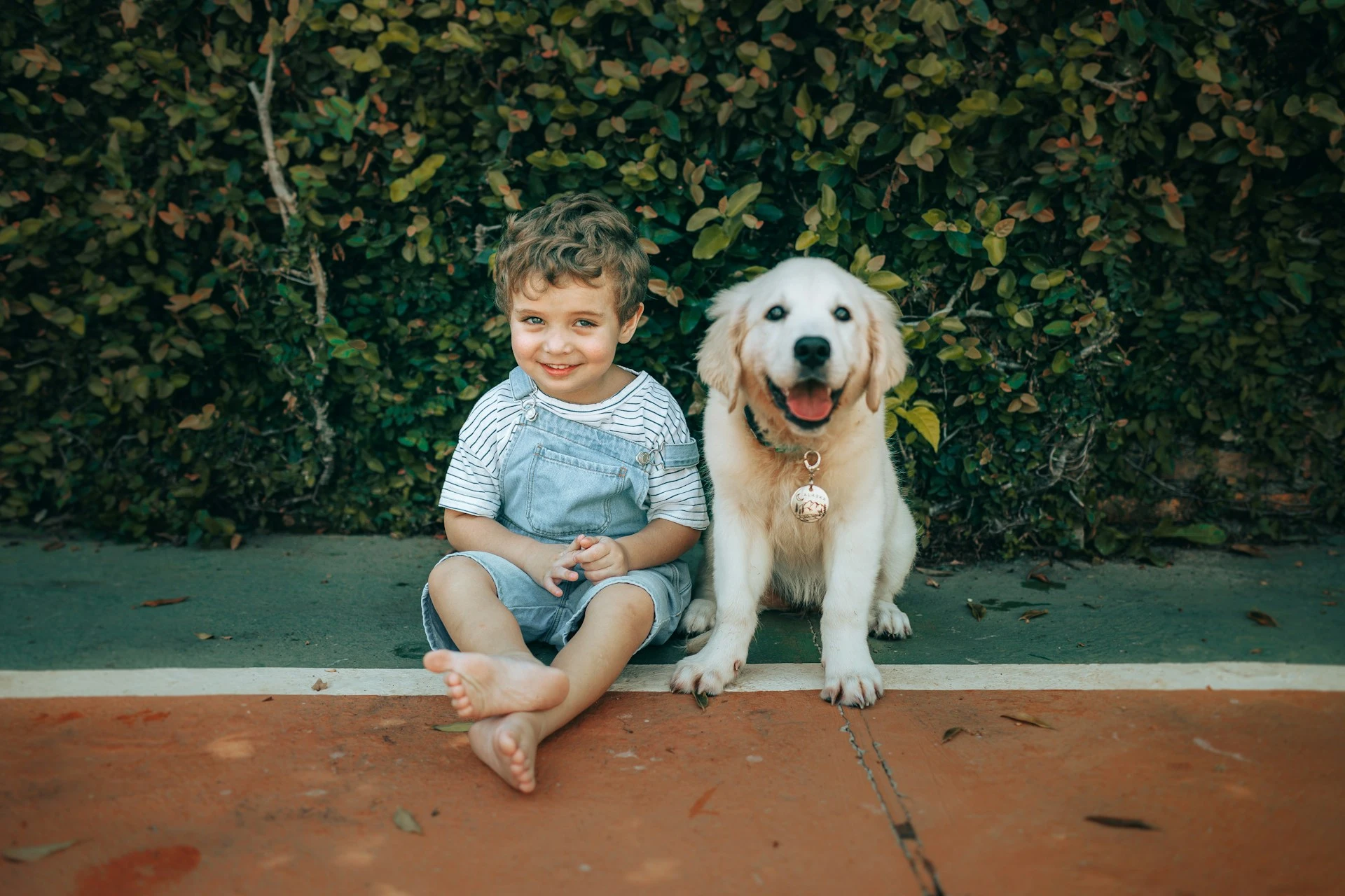 A boy sits barefoot next to a cream-colored Golden Retriever puppy in front of a dense green hedge.